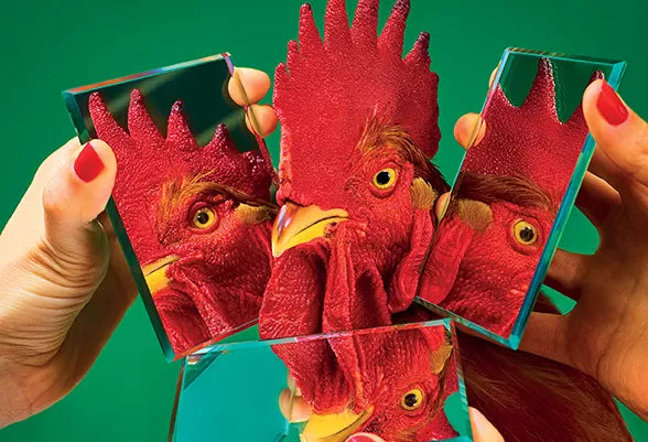Toiletpaper Magazine #19
